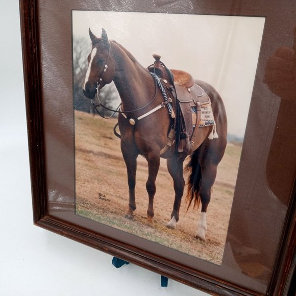 Beautiful Horse Photograph Framed Found Photo Art Cowboy Western Ranch Decor 14 - Picture 7 of 13
